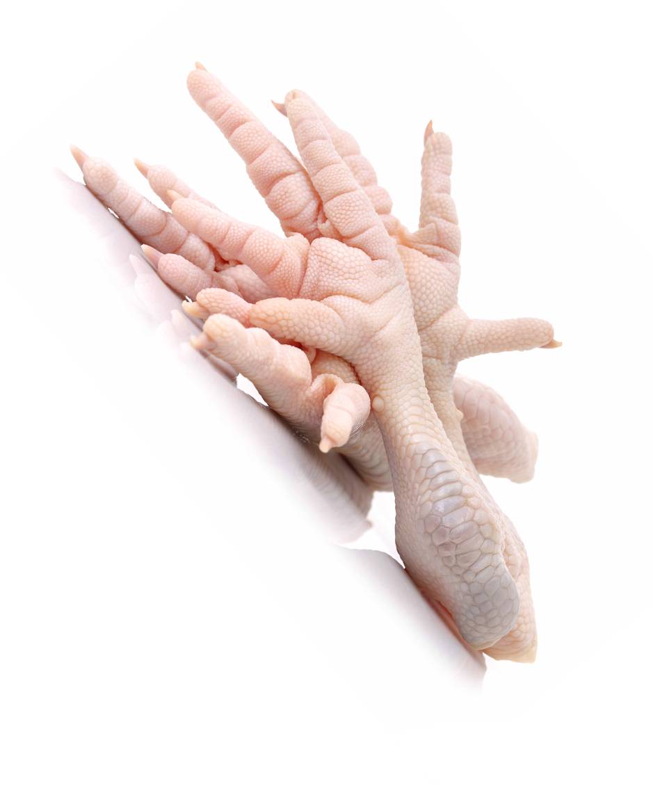 دکتر رضا لاهوتی -آویتا فیت